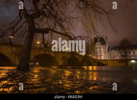 Ponti di Parigi - 03/02/2013 - - Floods della Senna inverno, 2013, piedi nell'acqua di un salice piangente allagato delle rive. Sotto il ponte Royal che leeds al Musee du Louvre - Sylvain Leser / le Pictorium Foto Stock
