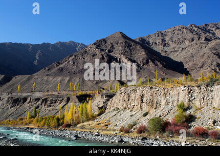 Fiume indo in autunno, Ladakh, Jammu e Kashmir in India. Foto Stock