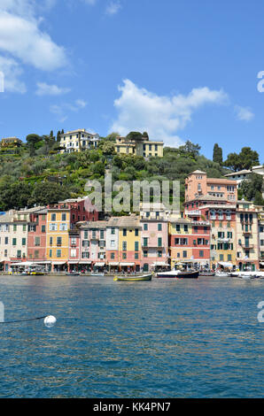 Italia; Liguria: Portofino. Barche a vela nella marina del piccolo villaggio con case colorate al riparo in una insenatura Foto Stock