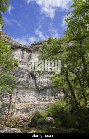 Malham Cove, North Yorkshire, Inghilterra, Regno Unito Foto Stock