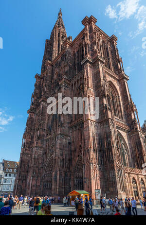 Strasburgo Cathdedral, Place de la Cathedrale, Strasburgo, Alsazia, Francia Foto Stock