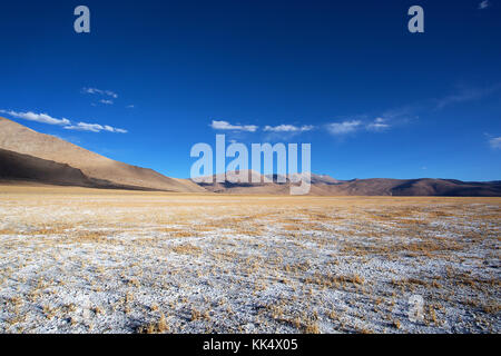 Paesaggio arido, vette himalayane e strati di sale su una limpida giornata autunnale a una fluttuazione di Salt Lake Tso Kar, Ladakh, India Foto Stock