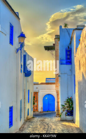 Case tradizionali in Sidi Bou Said, Tunisia Foto Stock