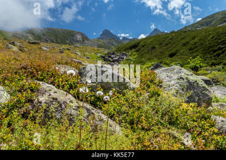 Vista del paesaggio delle montagne kackar o semplicemente kackars, in turco kackar daglari o kackarlar situato a rize, Turchia. Foto Stock