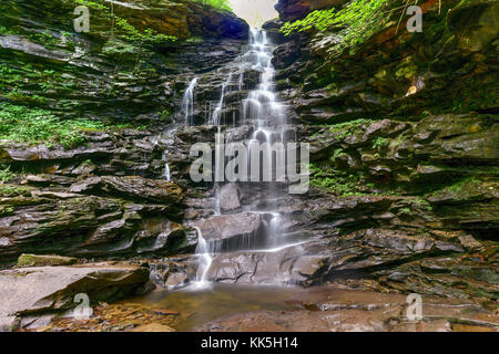 Cascata in Ricketts Glen State Park, Pennsylvania. Foto Stock