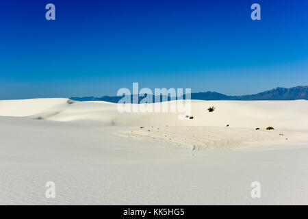 White Sands National Monument in New Mexico. Foto Stock