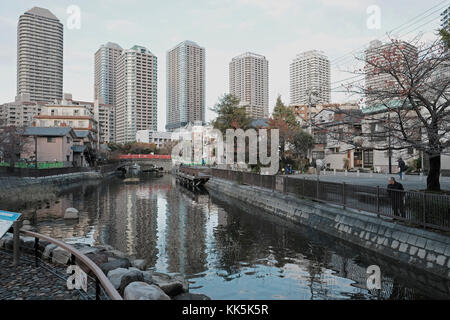 Vista del fiume Sumida e gli edifici nel quartiere Chuo di Tokyo. Il Giappone. Foto Stock