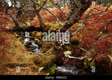 Cascata sulla passeggiata a cadute di Kirkaig, Assynt, Scozia Foto Stock