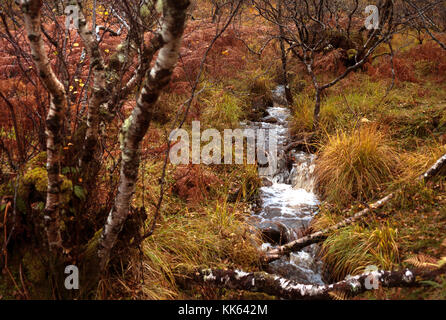 Cascata sulla passeggiata a cadute di Kirkaig, Assynt, Scozia Foto Stock