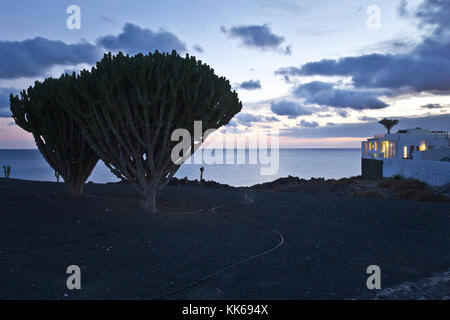 Costa Teguise di notte, Lanzarote, SPAGNA Foto Stock