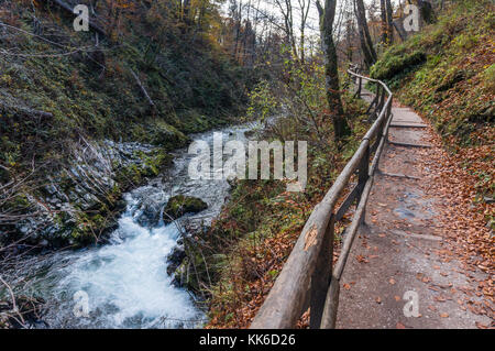 Percorso a piedi lungo il fiume Radovna come si passa attraverso la gola gola Foto Stock