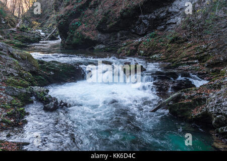 Rapide sul torrente Radovna come fluisce attraverso la gola gola Foto Stock