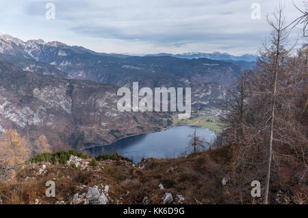 Il lago di Bohinj visto da neat il vogel ski resort Foto Stock