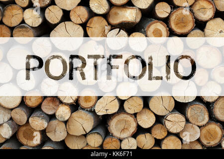 Annuncio concettuale didascalia di testo ispirazione mostra portfolio business concept per il business marketing design scritto su sfondo di legno con sp Foto Stock