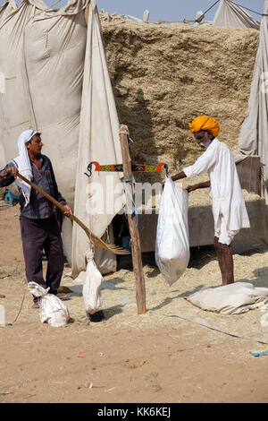 Due uomini di peso fuori alimentazione animale a Pushkar Camel Fiera,Rajasthan,l'India Foto Stock