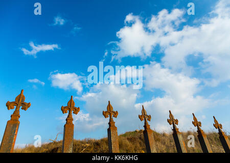 Paesaggio in vigneto, Golan, Monte Hermon, Israele, Oriente Próximo Foto Stock