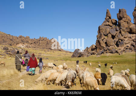 Una famiglia di un villaggio e un gregge di pecore Foto Stock