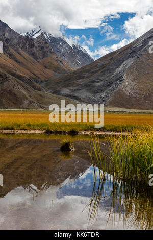 Uno stagno riflette le vette himalayane nella valle del fiume Suru - ZANSKAR, LADAKH, INDIA Foto Stock