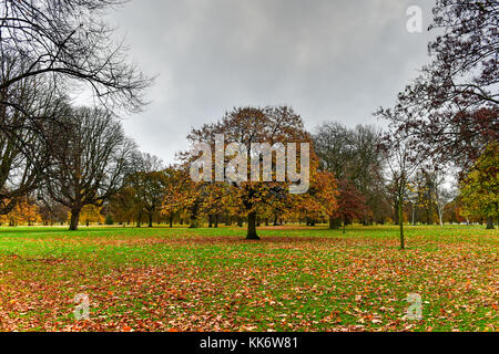 Hyde Park a Londra durante la stagione autunnale. Foto Stock