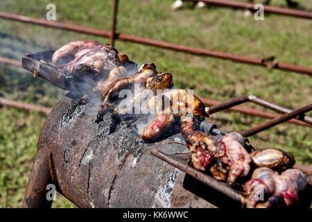 Patatine fritte di vitello o di Rocky Mountain ostriche cottura su un carbonaio all'aperto su una fattoria durante la stagione di castrazione dei giovani vitelli Foto Stock