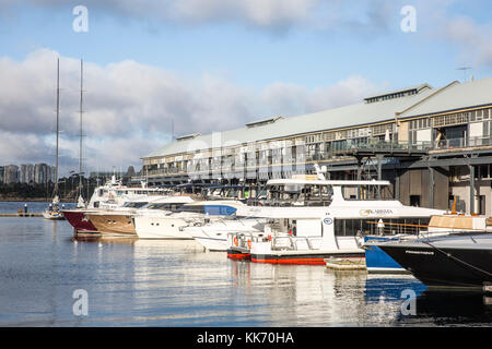 Barche di lusso di Jones Bay Wharf in Pyrmont,Sydney , Australia Foto Stock