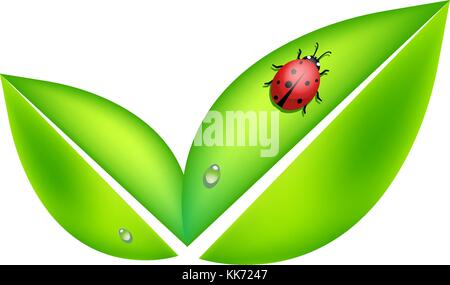 Foglie verdi simbolo con coccinella Illustrazione Vettoriale