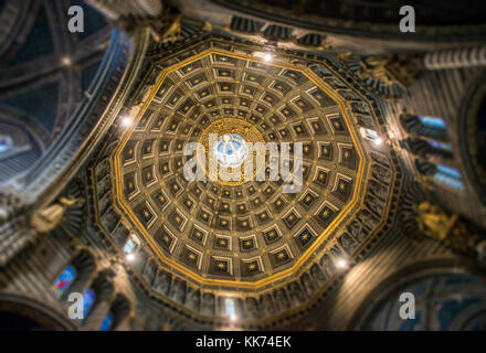 Soffitto della cupola centrale sul duomo di siena, Italia Foto Stock