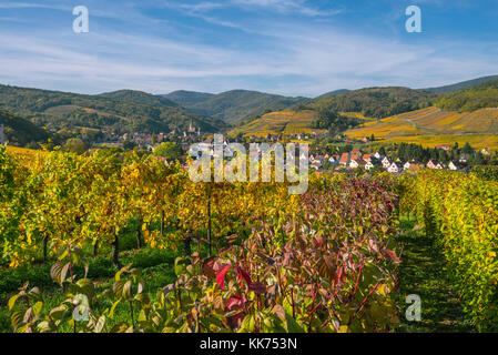 Villaggio andlau e vigneti circostanti in splendidi colori autunnali, colline ai piedi delle montagne Vosges, sulla strada del vino dell'Alsazia, Francia Foto Stock