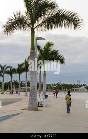 Palme nella baia di Luanda, in Angola Foto Stock