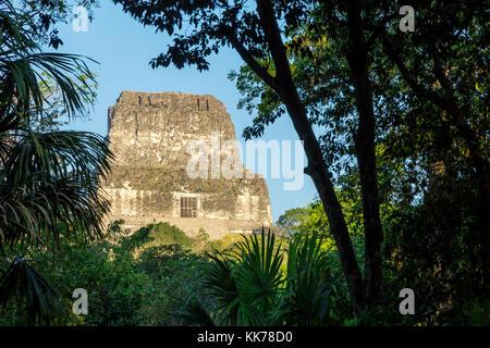 Vista al Tempio IV | Tikal | Guatemala Foto Stock