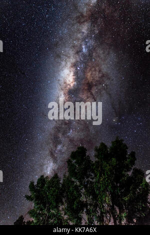 Al centro della Via Lattea e il cielo notturno come nella foto dietro un paio di alberi in primo piano. Fotografato sull Isola Amantani, Perù. Foto Stock