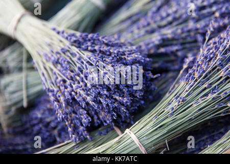 Belfast City Hall 28 Nov 2017 . Close up legato mazzi di lavanda in scatole di legno Foto Stock