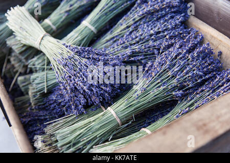 Belfast City Hall 28 Nov 2017 . Close up legato mazzi di lavanda in scatole di legno Foto Stock