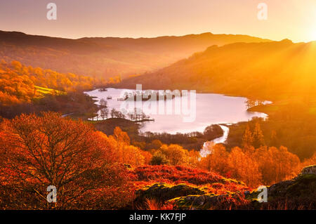 Rydal acqua a sunrise, Lake District, UK. Vista in elevazione che si affaccia sul bellissimo lago e paesaggio autunnale da muschio bianco comune. Foto Stock