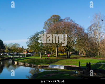 Vista lungo Droitwich Canal in vigne Park è situato tra il fiume Salwarpe e sale modo Droitwich Spa Worcestershire Inghilterra REGNO UNITO Foto Stock