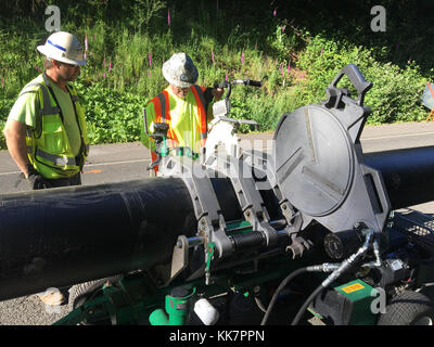 Gli equipaggi hanno sostituito un colpevole che stava causando un buco nella SR 4 vicino a Loop Road nella contea di Wahkiakum. Il tubo usato per costruire il vecchio colvert era corroso e non dirigeva più l'acqua via da un pendio vicino. Giovedì 15 giugno, gli equipaggi hanno terminato l'installazione di un nuovo fognolo in plastica spessa e pesante, che durerà più a lungo e ridurrà i costi di manutenzione a lungo termine. I canali fognanti raccolgono il deflusso dell'acqua e aiutano a prevenire che l'acqua si assesti sotto la superficie della carreggiata, il che prolunga la vita della struttura della carreggiata subrare. Taglio di un nuovo, più durevole culvert 35369783106 o Foto Stock