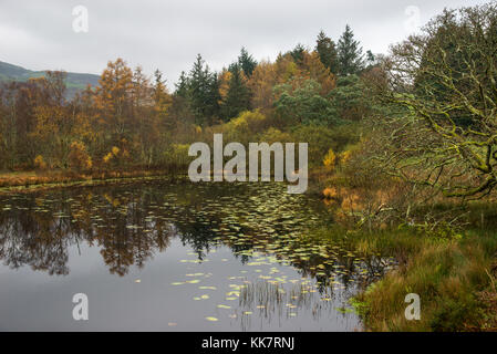 Autunno a llyn tecwyn isaf nelle colline vicino a Harlech in snowdonia, il Galles del nord. Foto Stock