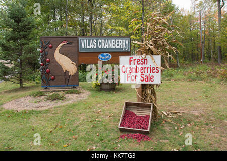 Vilas cranberry fattoria in acque manitowish, Wisconsin Foto Stock