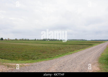 Vilas cranberry fattoria in acque manitowish, Wisconsin Foto Stock