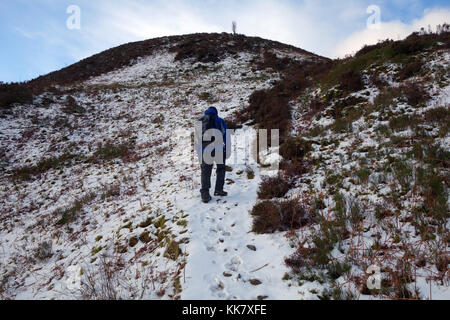 Lone fellwaker maschio in arrampicata neve rowling fine sulla rotta verso il vertice della wainwright causey pike nel parco nazionale del distretto dei laghi, cumbria.uk. Foto Stock