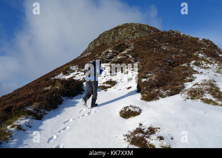 Lone fellwaker maschio sulla cresta del vertice del wainwright causey pike nel parco nazionale del distretto dei laghi, cumbria.uk. Foto Stock