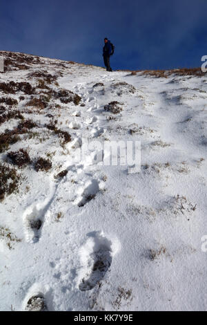 Orme nella neve da un solitario fellwaker maschio sulla cresta del vertice del wainwright causey pike nel parco nazionale del distretto dei laghi, cumbria.uk. Foto Stock