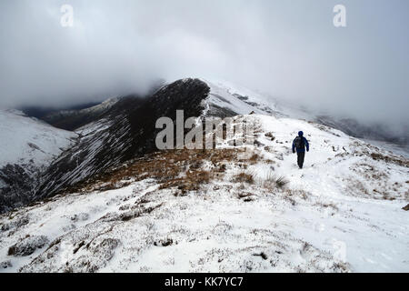 Lone fellwaker maschio su un crinale in direzione wainwright cicatrice dirupi da causey pike nella neve, parco nazionale del distretto dei laghi, cumbria, Regno Unito. Foto Stock