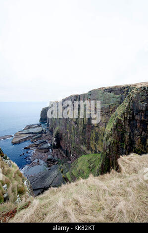 Handa Island, Scozia. Un'isola disabitata al largo della costa nord ovest della Scozia che è gestito dalla Scottish wildlife trust come una riserva di uccelli Foto Stock