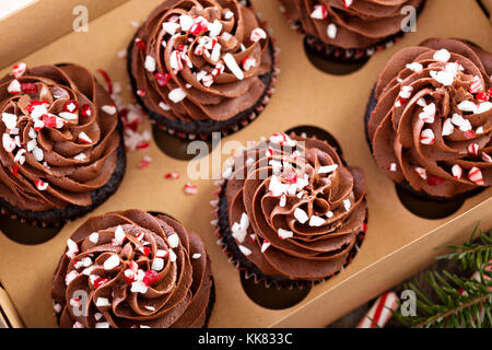 Il cioccolato menta piperita tortine con candy cane Foto Stock