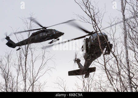 Due Alaska esercito nazionale Guard UH-60 Black Hawk elicotteri da 1° Battaglione, 207th reggimento di aviazione, approccio un finto sito di evacuazione mentre partecipando a una massa-casualty evento di formazione di base comune Elmendorf-Richardson, Alaska, nov. 21, 2017. Durante l'esercizio, gli operatori di salvataggio dall'Alaska Air National Guard 212th della squadrone di salvataggio si trova, valutata, trattati ed evacuato numerosi feriti mentre si innesta e eliminando molteplici attacchi da parte delle forze di opposizione. In aggiunta alla formazione per combattere la ricerca e il salvataggio delle missioni, il 212th Rescue Squadron fornisce anche res di emergenza Foto Stock