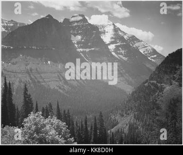 Una fotografia in bianco e nero di un albero coperto valley con una coperta di neve montagna che ha diversi picchi in background nel Glacier National Park, l'immagine proviene da una serie di fotografie noto come il progetto murale di Ansel Adams, fu commissionato dal Servizio del parco nazionale nel 1941 per creare un murale fotografico per il dipartimento dell'interno edificio in Washington DC, il progetto è giunto a termine a causa della Seconda Guerra Mondiale, il Glacier National Park è stato istituito nel 1910, il parco è costituito da più di un milione di acri di terreno ed è conosciuto per la sua varietà di paesaggi e di ecosistema, Montana, U Foto Stock