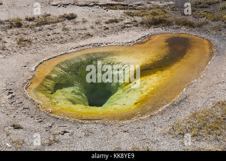 Piscina belga caratteristica termica nella Upper Geyser Basin, il parco nazionale di Yellowstone Foto Stock