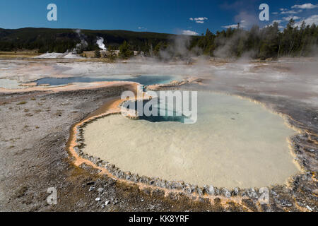 Doppietto piscina caratteristica termica nella Upper Geyser Basin, il parco nazionale di Yellowstone Foto Stock