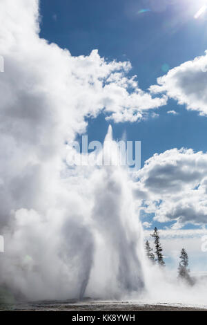 Grand Geyser caratteristica termica scoppierà in Upper Geyser Basin, il parco nazionale di Yellowstone Foto Stock